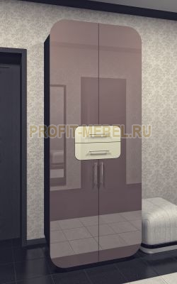 Распашной шкаф с глянцевыми фасадами Гектор - 2 по цене производителя 23540 руб. в наличии на 27.04.2024